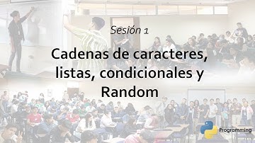 Ayudantía 1 - PAO II 2024