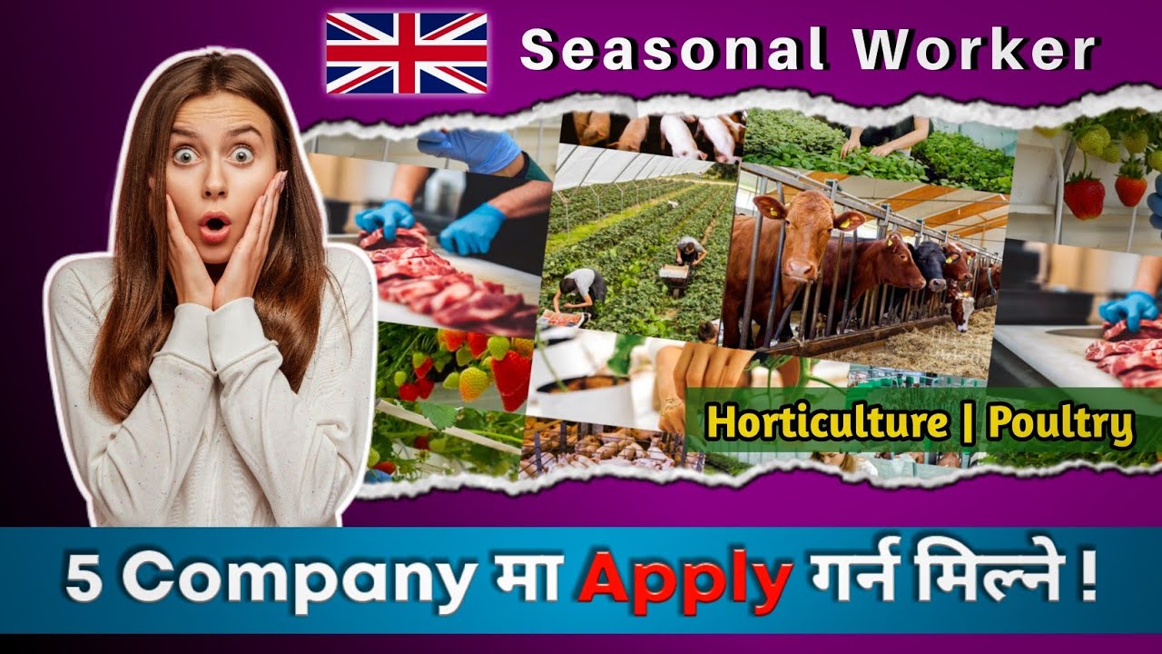 UK Seasonal Worker New Update 2022 || Seasonal Worker Ma 5 Company Ma
