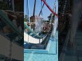 Splash! | Shambhala at PortAventura