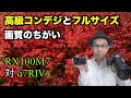 【高級コンデジ vs フルサイズ】画質の違い／紅葉撮影【RX100M7 vs α7R4】 #4K