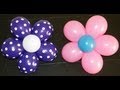 Balloon Flower