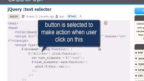 JQUERY Tutorial : jQuery text selector