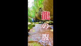 【龍神の住む奥の滝・龍の腹】 愛媛パワースポット 滑川渓谷　#shorts