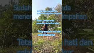 Download Lagu sudah saatnya anda menerima keberlimpahan #electronicmusic #dj MP3