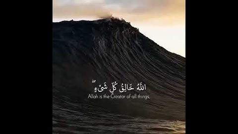 الله خالق كل شيء,♥️سورة الزمر-الشيخ عمر دريويز🌿