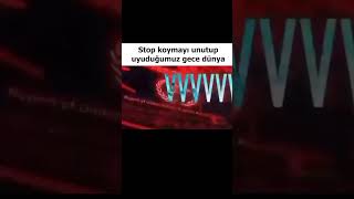 Stop Koymayı Unuttuğumuz Gece Dünya Piyasaları