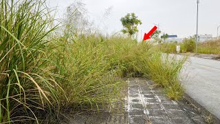 500 Metros de Calçada Abandonada Foram Limpos, Chocando Todo o Bairro Transformação Satisfatória