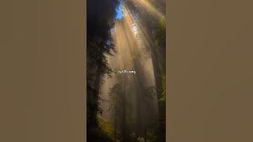 سورة يوسف ، القارئ محمد هشام