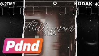 Biga - Akıllanmam  Resimi