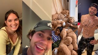 DAVID DOBRIK&#39;S ROOMATES - INSTAGRAM STORIES [PART 2]