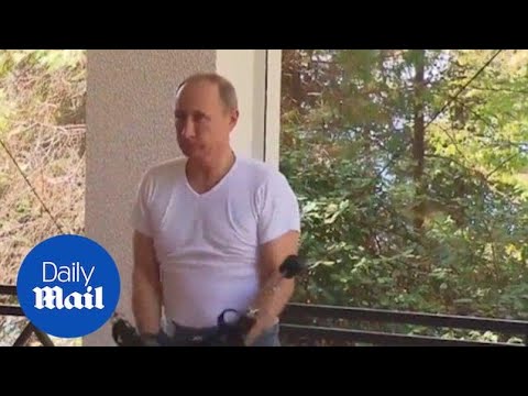 2015: Putin shows off his muscles as he trains with PM - Daily Mail