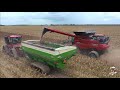2021 Texas Milo Harvest in the Mud.