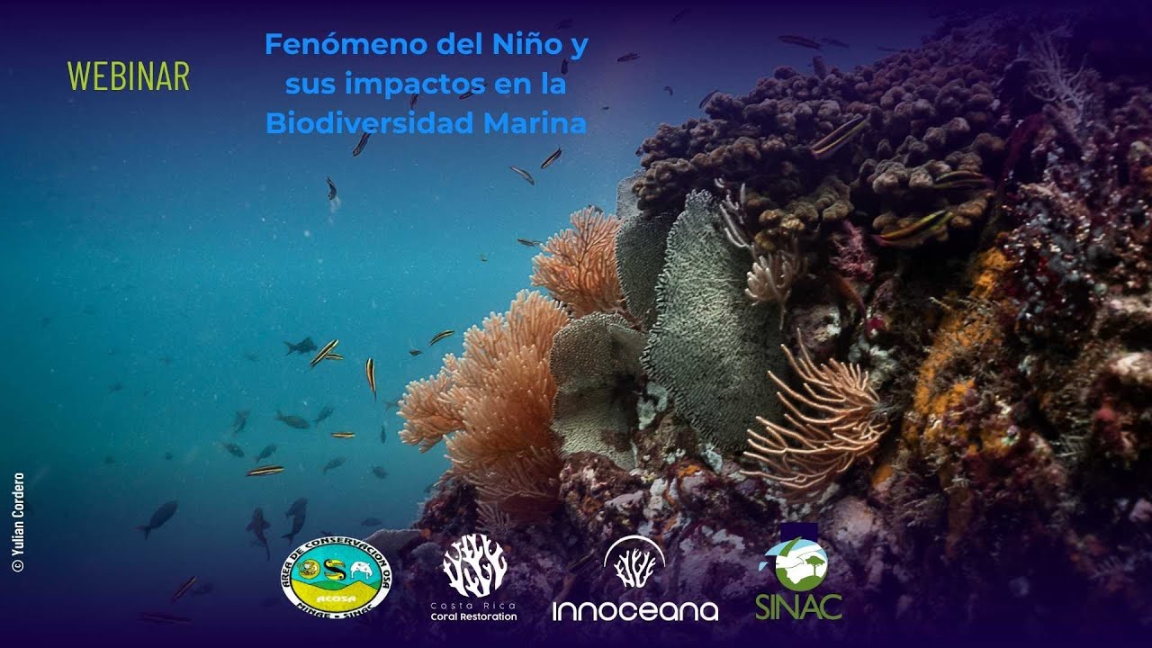 El Niño y su impacto en la biodiversidad marina - Webinar