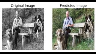 Image colorization using cGAN