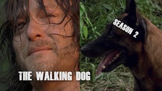 The Walking Dog SEASON 2! ALL TWD Shots of DOG!