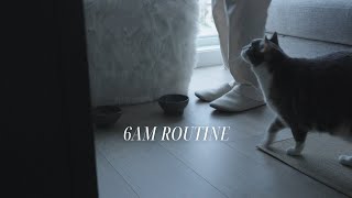 6AM Slow Living Routine | Cozy Mornings with My Cat, Coffee ☕, and Home Organization Tips