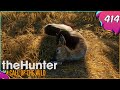 The Hunter Call Of The Wild #414 - Diamant-Reh?  [Gameplay | Deutsch]