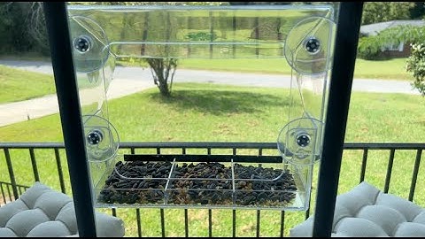 Ermete Clear Suction Cup Window Bird Feeder Demo