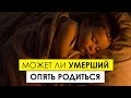 Может ли умерший человек опять родиться на земле