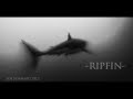 333 -RIPFIN " battle scars"