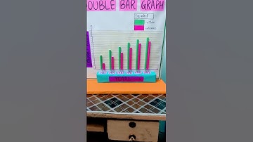 Double bar graph 3D model #holidayhomework #creative #follow #trending #followforfollowback #sooseki