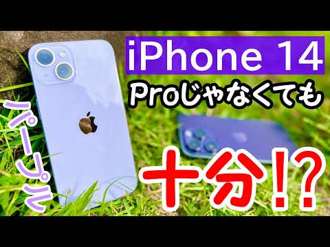 ロー　iPhone14 パープル iPhone 14 Pro 256GB - ディープパープル（SIMフリー）[整備済