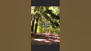 𝒯𝒽𝑒 𝓋𝑒𝓇𝓈𝓊𝓈 𝑜𝒻 𝓉𝒽𝑒 𝒽𝑜𝓁𝓎 𝒬𝓊𝓇𝒶𝓃 آيات القرآن الكريم
