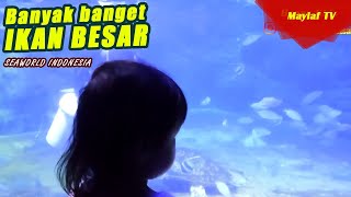 Kakak Maylaf Bermain di Seaworld lihat Aquarium Besar | Lihat banyak banget ikan laut di Ancol