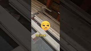 Construction & Conversation: Home Depot Path to Pro 💰