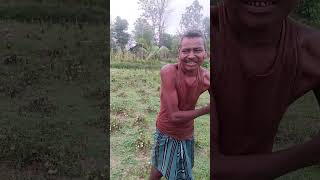 Pandu kaka ro Sobujo poniporiba badi