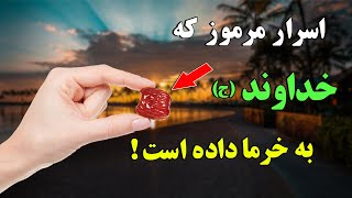 خرما - راز بزرگی که خداوند (ج) به خرما داده است - عجوه خرمای پیامبر | ISA TV