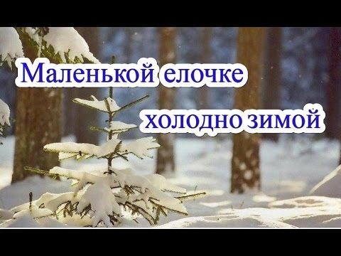 Песня Маленькой елочке холодно зимой и текст