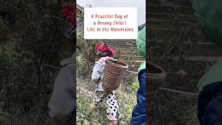 A Peaceful Day Of A Hmong Child Life In The Mountains