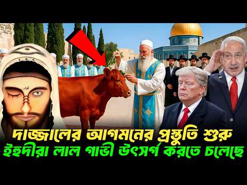 কুরআনে বর্নিত লাল গাভীর রহস্য: ২০০০ বছর পর কেন তোলপাড় বিশ্ব?