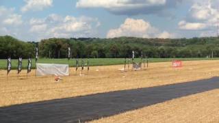 Flite Fest 2016 3D Heli Demonstration