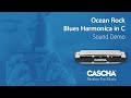 Губна гармошка Cascha Ocean Rock Blues Harmonica Black in C Diatonic HH 2327