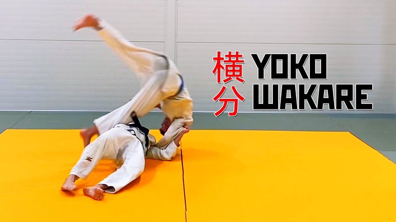 YOKO WAKARE (横分) - YouTube