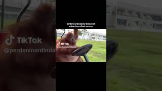 efkarlı maymun #tiktok #shorts