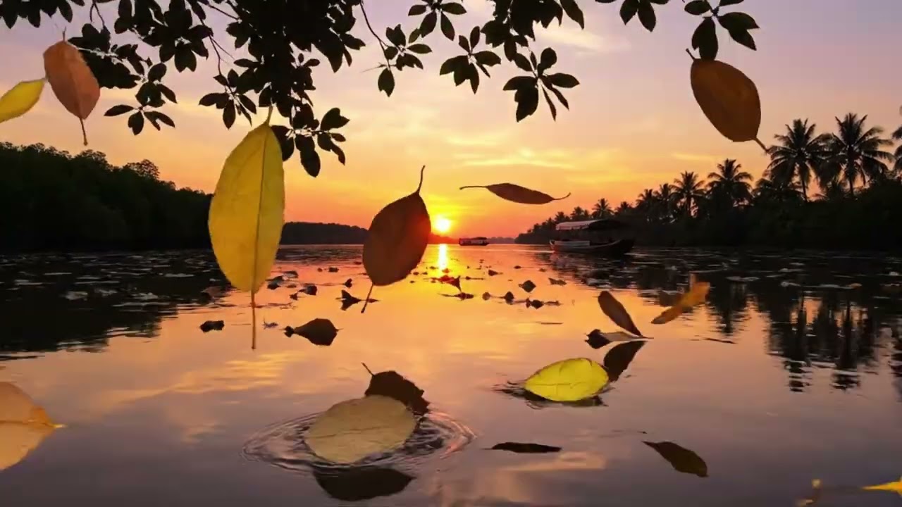 Bolero Hòa Tấu Buồn | Nỗi nhớ dằng dặc vương trên mái lá