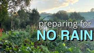 Preparing for No Rain Vegetable Gardening | Permaculture Garden