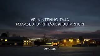 Eläintenhoitaja, Maaseutuyrittäjä Ja Puutarhuri