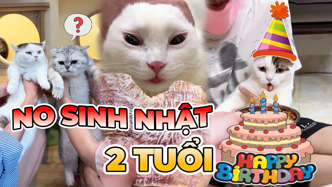 No sinh nhật 2 tuổi | maly.gaugau
