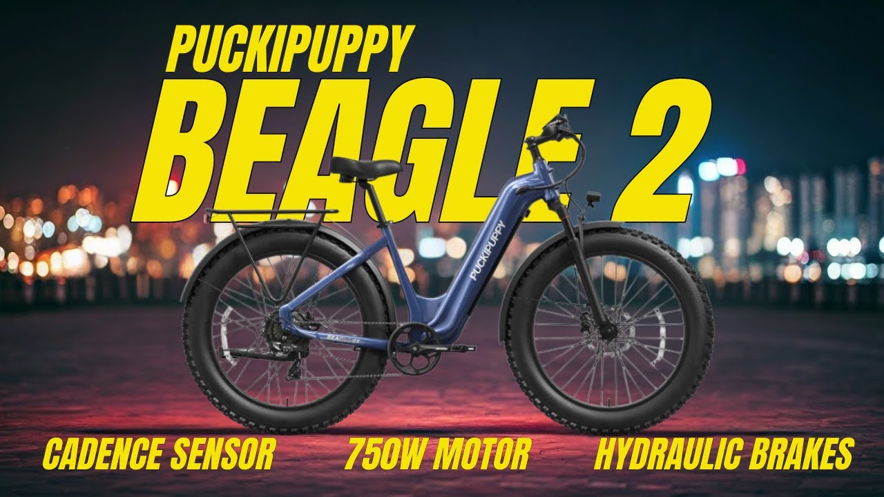 Is The Beagle 2 ST A Great Value? - Puckipuppy Ebike - YouTube