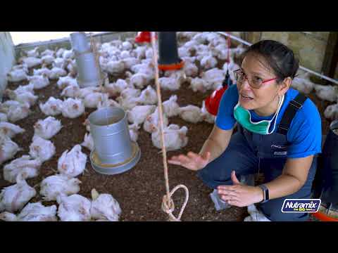 Managing Heat Stress