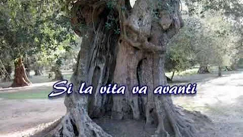 Come fare gli auguri a una figlia che compie gli anni?