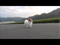 hanaの石蹴り遊び2011.09.16.wmv
