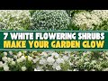 7 white flowering shrubs that will make your garden glow 