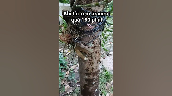 khi tôi xem brainrot quá 180 phút