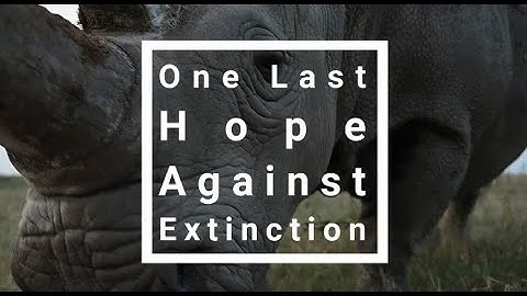 One Last Hope Against Extinction  |  Research Bites Video