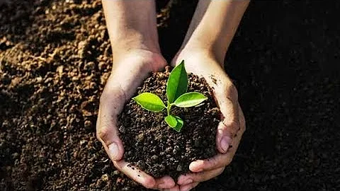 ENVIRONMENTAL ADVOCACY